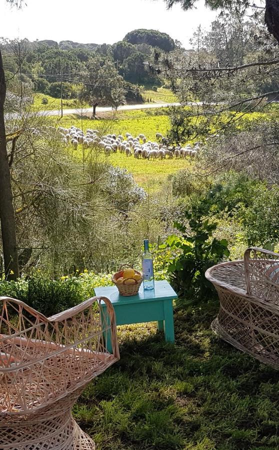 Romance Valdareina, Piscine Chauffee, Benagil-Carvoeiro كارفويرو المظهر الخارجي الصورة