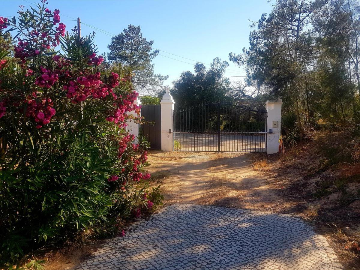 Romance Valdareina, Piscine Chauffee, Benagil-Carvoeiro كارفويرو المظهر الخارجي الصورة