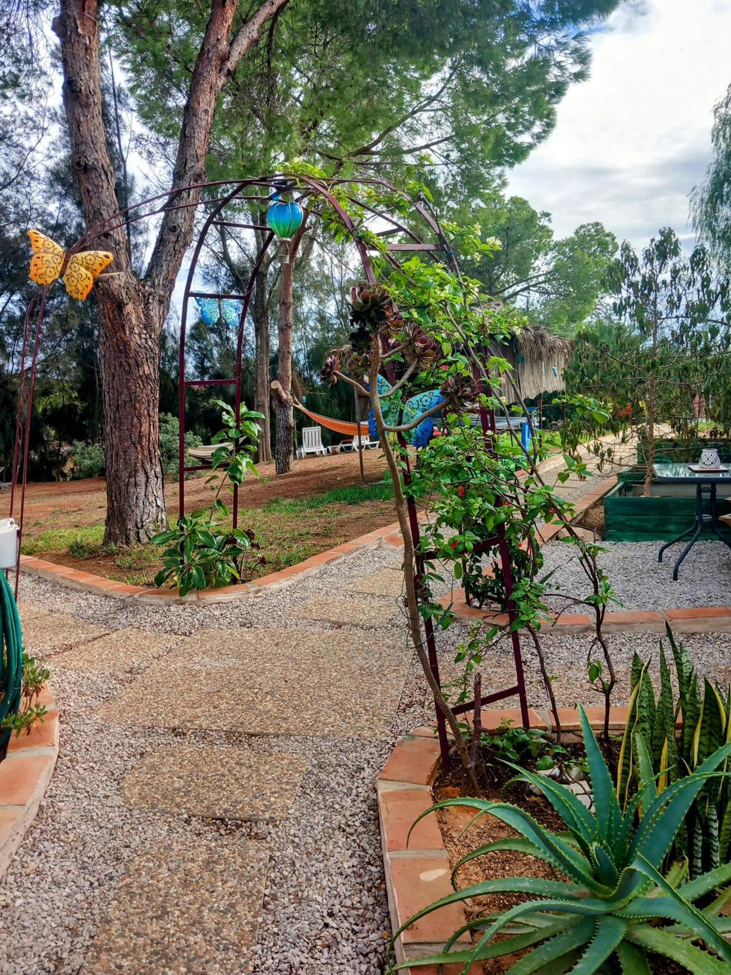 Romance Valdareina, Piscine Chauffee, Benagil-Carvoeiro كارفويرو المظهر الخارجي الصورة